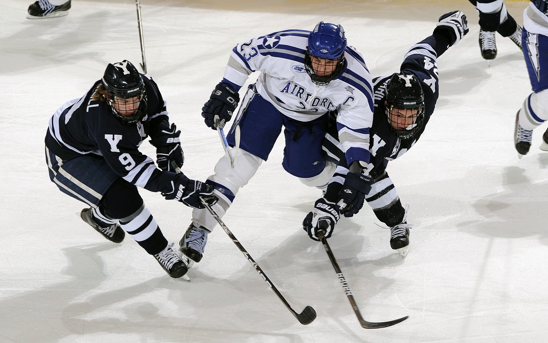 塔特:袋鼠队快速进攻的发动机,改变比赛局势,袋鼠托特包有几个版本